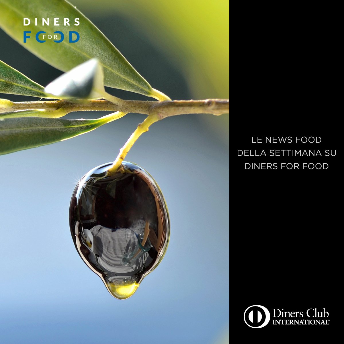 Il cambiamento climatico ha messo ko l’#olio d’oliva. La produzione italiana è ai minimi storici, ma ci si può consolare: il Bel Paese rimane comunque al 2° posto nella produzione mondiale. Le #news #food su #DinersForFood con <a href="/salepepe_it/">Sale&Pepe</a>: bit.ly/2Eg7XwW #oliodoliva