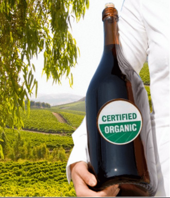 Secondo una ricerca di IWSR, promossa da SudVinBio, in UK i consumi di organic wine potrebbero incrementarsi di oltre il 50% da qui al 2022, per un mercato che supererà il valore di 1,15 miliardi di sterline.
#vino #wine #export
ow.ly/sODZ30mY5IV