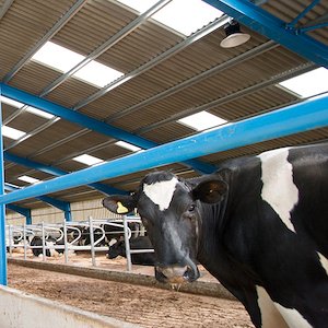 inui_uk's tweet image. LED Lighting in Farming ow.ly/pp2V50jU80j
.
#LEDFarm #LEDlights #CleanerSmarterBrighter