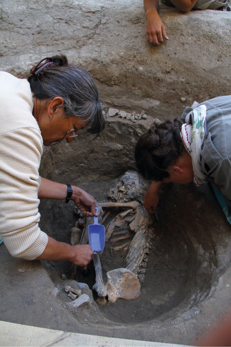 Yalangoch sikli yigitlarning fotosuratlari
