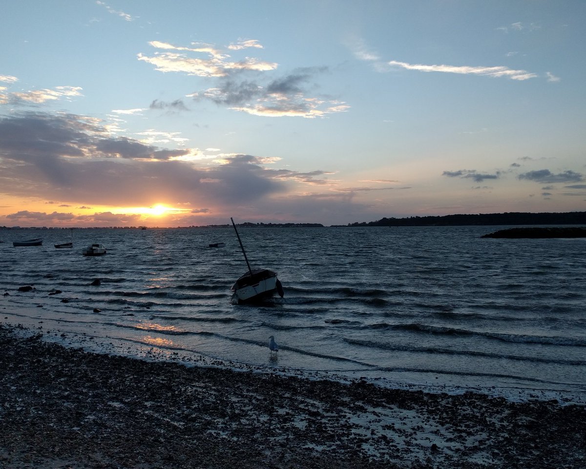 Very interesting & informative Winter Wader Bird ID course @harbourbirds HQ, Poole Quay last night. Amazing how lucky we are to live in a unique place that helps to protect so many over-wintering birds. @more_poole @WhatsOnInPoole @Bournemouthecho  @lovefordorset @DorsetWildlife