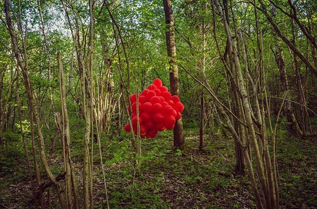 rougeit's tweet photo. #RedAdvent Day 13:
‘A Study in Red’ - Sättra, Öland, Sweden. 2012
These days I rarely get to just play. This isn’t a commission or part of a residency, just an opportunity to play with colour and place to see what happens. Think of it as a kind of sketch… https://t.co/oRGPJPzjEI https://t.co/Rapx63vz6N