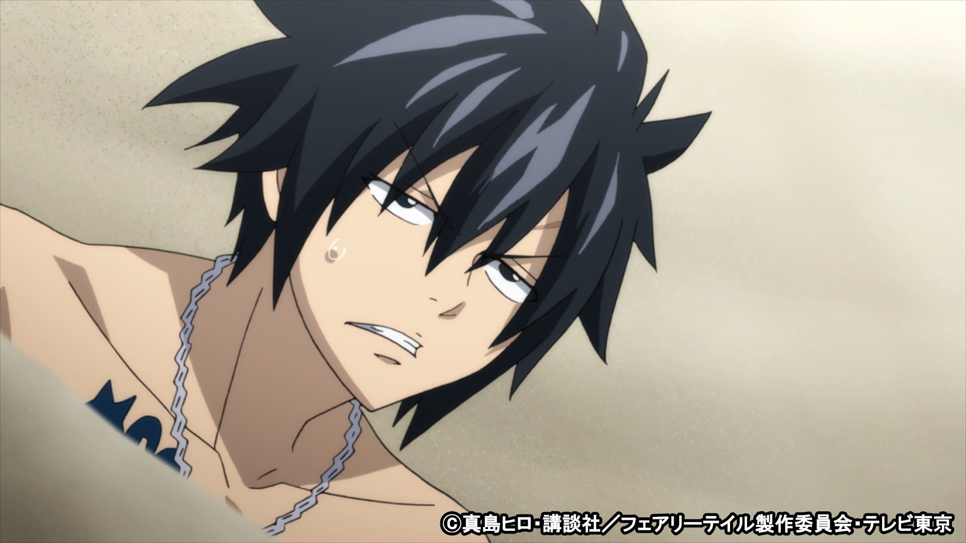フェアリーテイル Amazon.co.jp: FAIRY TAIL フェアリーテイル [レンタル落ち] 全