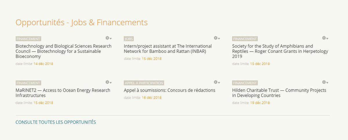 YPARD Africa tweet media