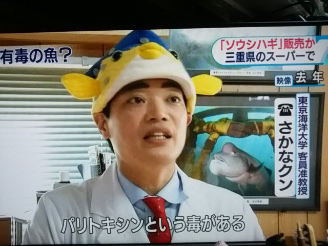 サカナくん Amazon.co.jp: さかなクン: 本、バイオグラフィー、最新アップデート