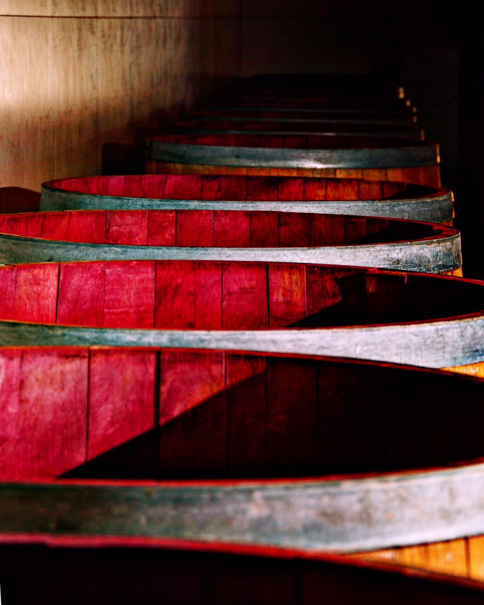 #grattamacco #bolgheri #artigianal  #fermentation #wood vats Tuscany #wine #supertuscan