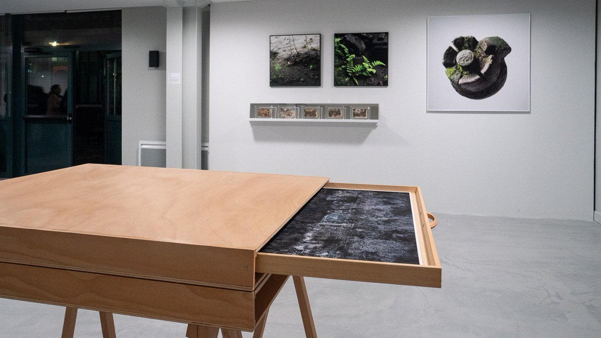 Bit20Paris's tweet image. °TOUJOURS #ENCOURS° Les 3 dernières expositions satellites de la Biennale à Confort Mental / @SmartFoodParis / @MaelleGalerie #bit20paris #paris20 #photography #artcontemporain bit20.paris/la_biennale/ex…