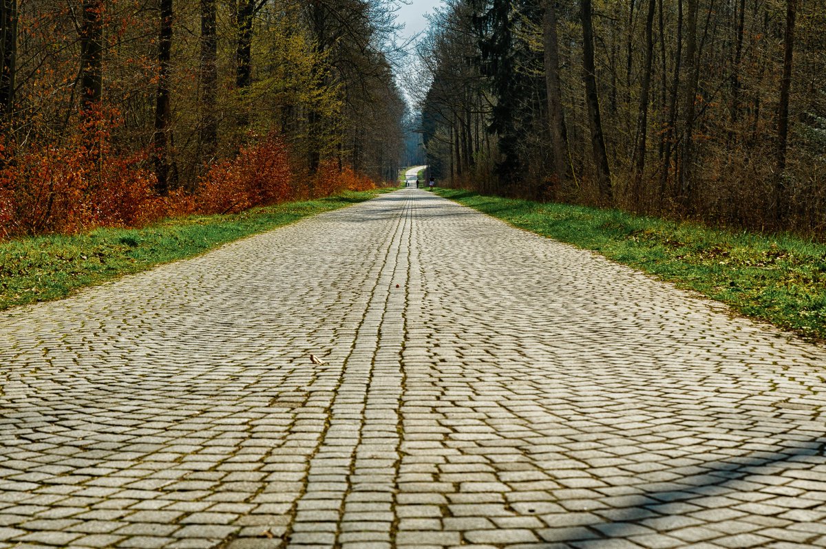 Старые дороги сегодня. Старая дорога. Старинные дорожки. Древняя дорога. Старая каменная дорожка в даль.