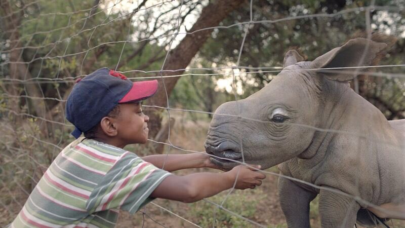 Fearless and his besty Reini 🦏 
We are still in Cinemas. Don’t miss out! 🎥🍿💫 #Frankandafearless