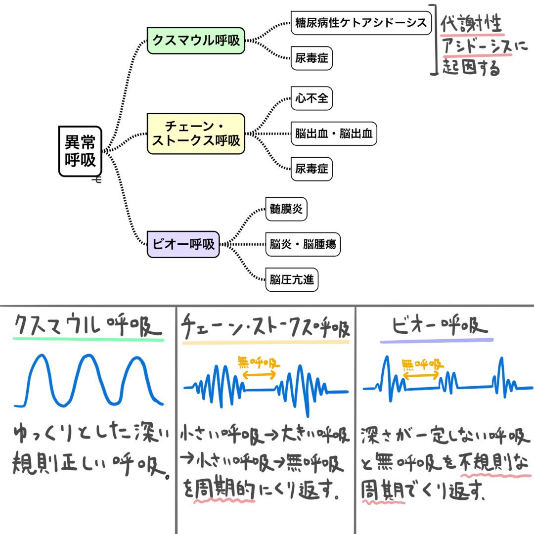 ストーク 呼吸 チェーン 異常呼吸の種類と原因｜チェーンストークス呼吸・クスマウル呼吸・ビオー呼吸など