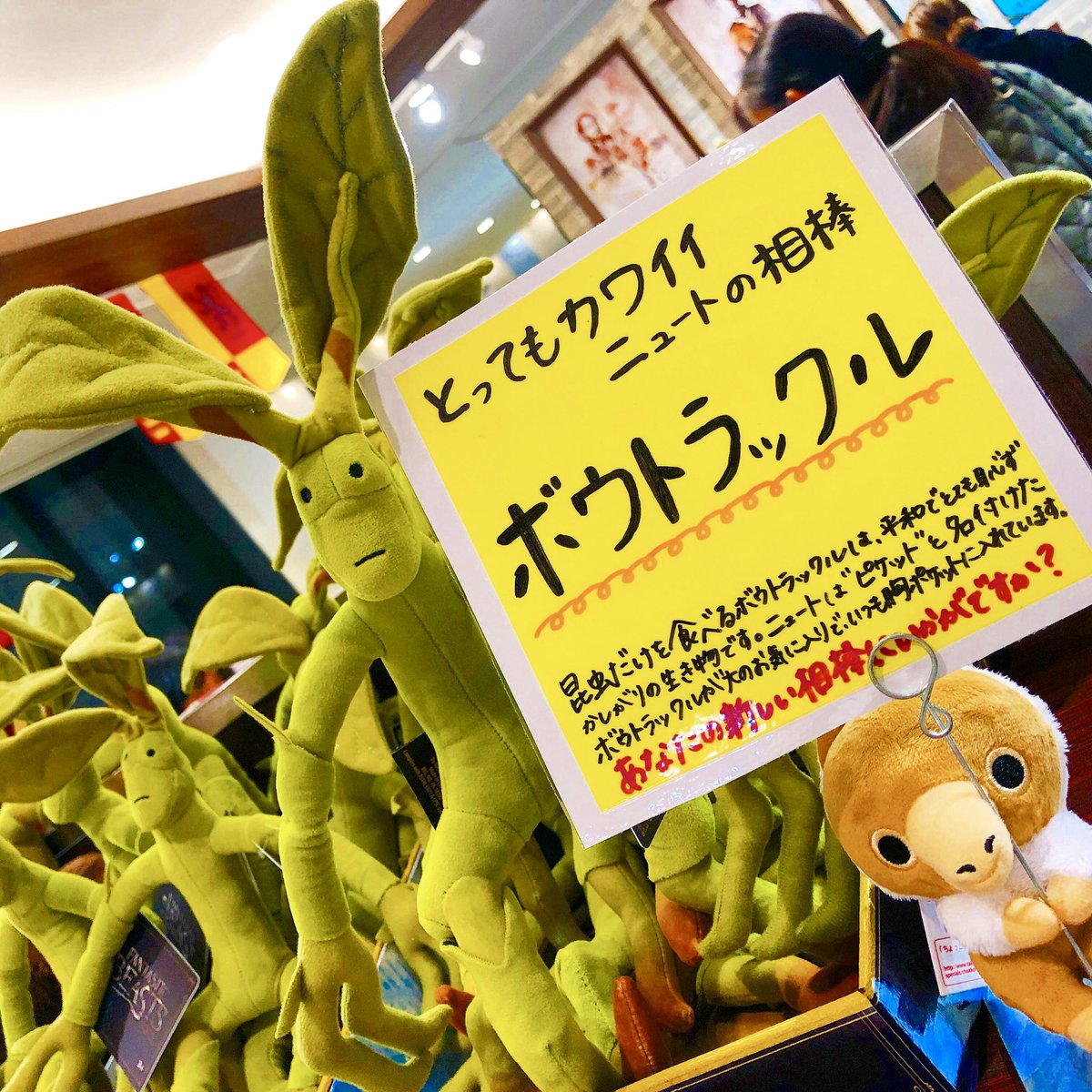 ニュートの相棒ボウトラックルのぬいぐるみです！ 頭の上の葉っぱや