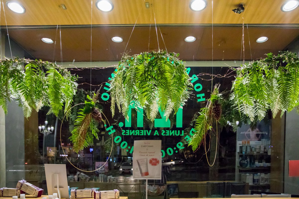 semilla_com's tweet photo. 🌲🌿🌿Porque siempre hay una primera vez para todo..... nuestro primer escaparate!!!
Gracias @amfarmacia por confiar en nosotras!!
#semillaeventos🌿
#toqueSemilla
#deconavideña
#bodas2019
#wp
#EventosCantabria
#CoordinaciónEventos
#weddingplannerCantabria
#nosgustaloquehacemos https://t.co/fxMBgQbgwk