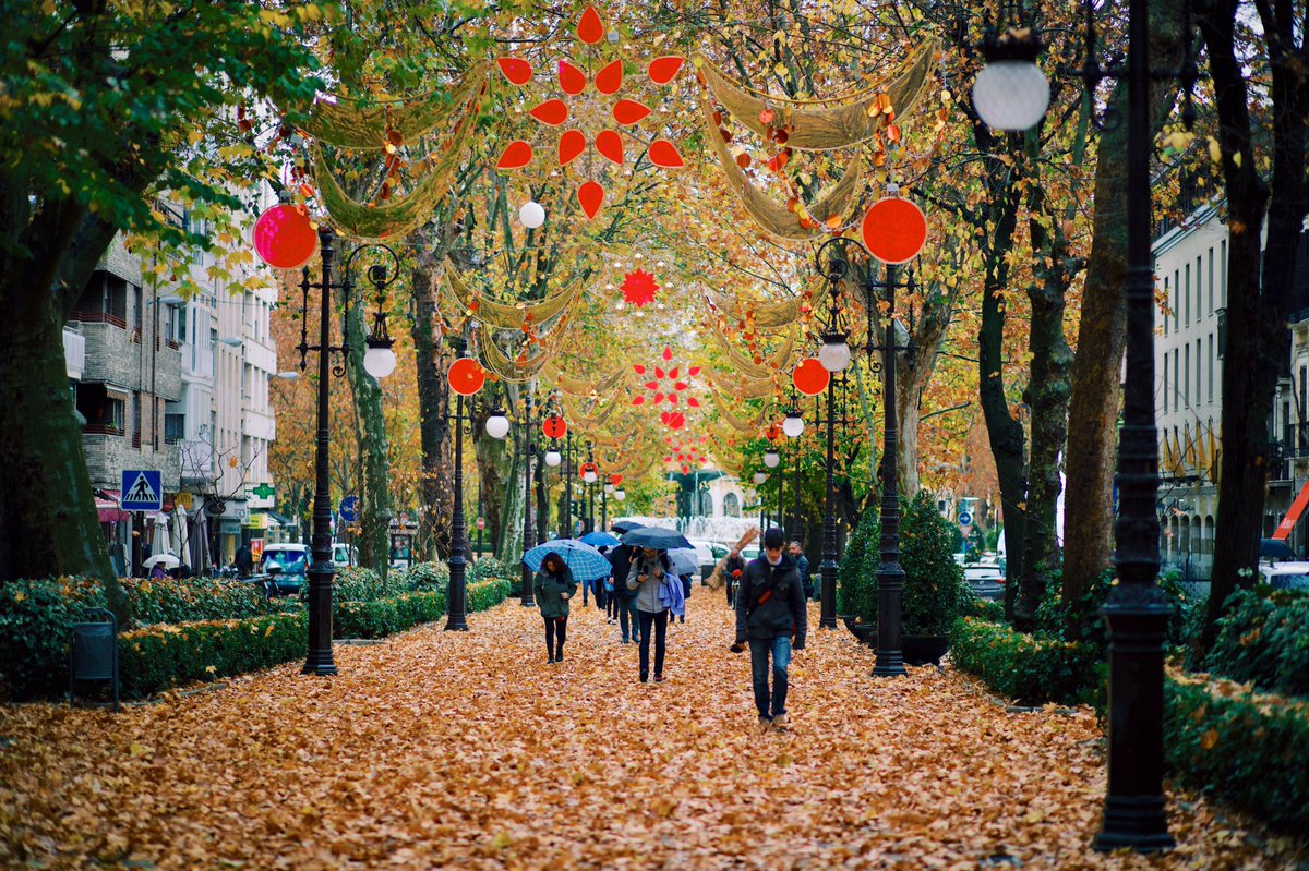 Ferminius's tweet photo. Otoño, lluvia, navidad y Granada https://t.co/XyYyZFetPn