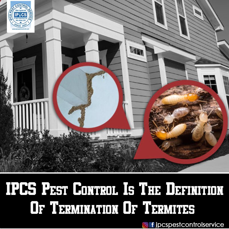 IPCSPest's tweet image. Call IPCS for termination of #TERMITE
 
 ☎️ 9414040103
 ↗️bit.ly/2EtSwlB
 
 #termitetreatment #ipcspestcontrol #termitecontrolinjaipur #jaipur #pestcontrol #mosquitocontrol #homeimorovement