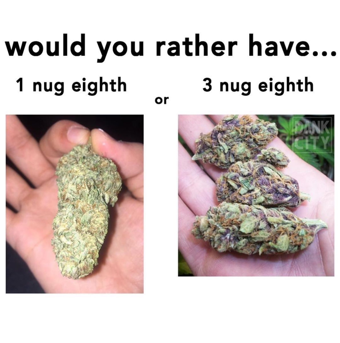 RealDailyToke's tweet photo. Hhhmmm....🤔 Good question which one would you choose ?? ( @stonedallthetime 🎥) #dailytoke #buds #kush #purps #nugs #eighth #choose https://t.co/NtkFScGOO2
