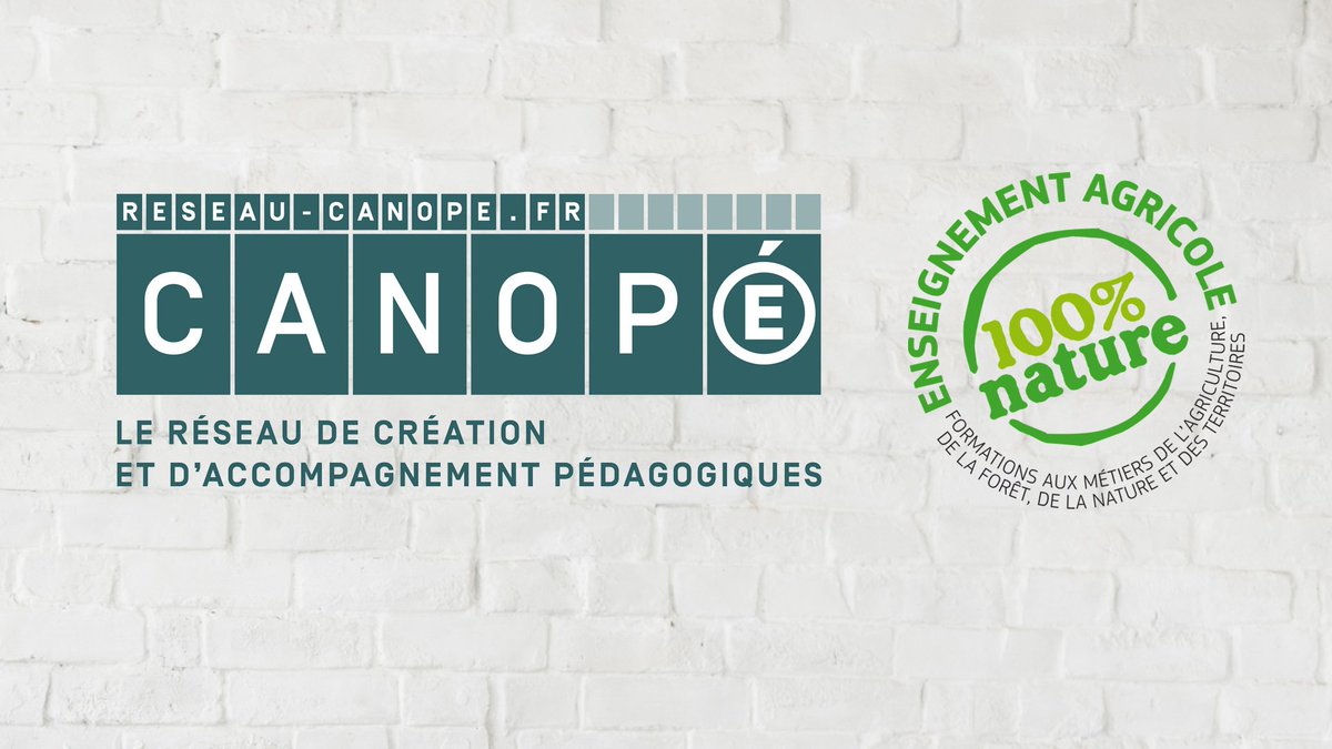 EAgricole_HdF's tweet photo. #RSHDF Débat en direct ce vendredi 14 décembre à 14h sur les réseaux sociaux et l'enseignement avec @michelguillou et @Vanessa_Lalo en direct sur https://t.co/DIQT4dsDoS … avec vos questions sur le Chat YouTube ou avec #RSHDF https://t.co/aedCd438pv