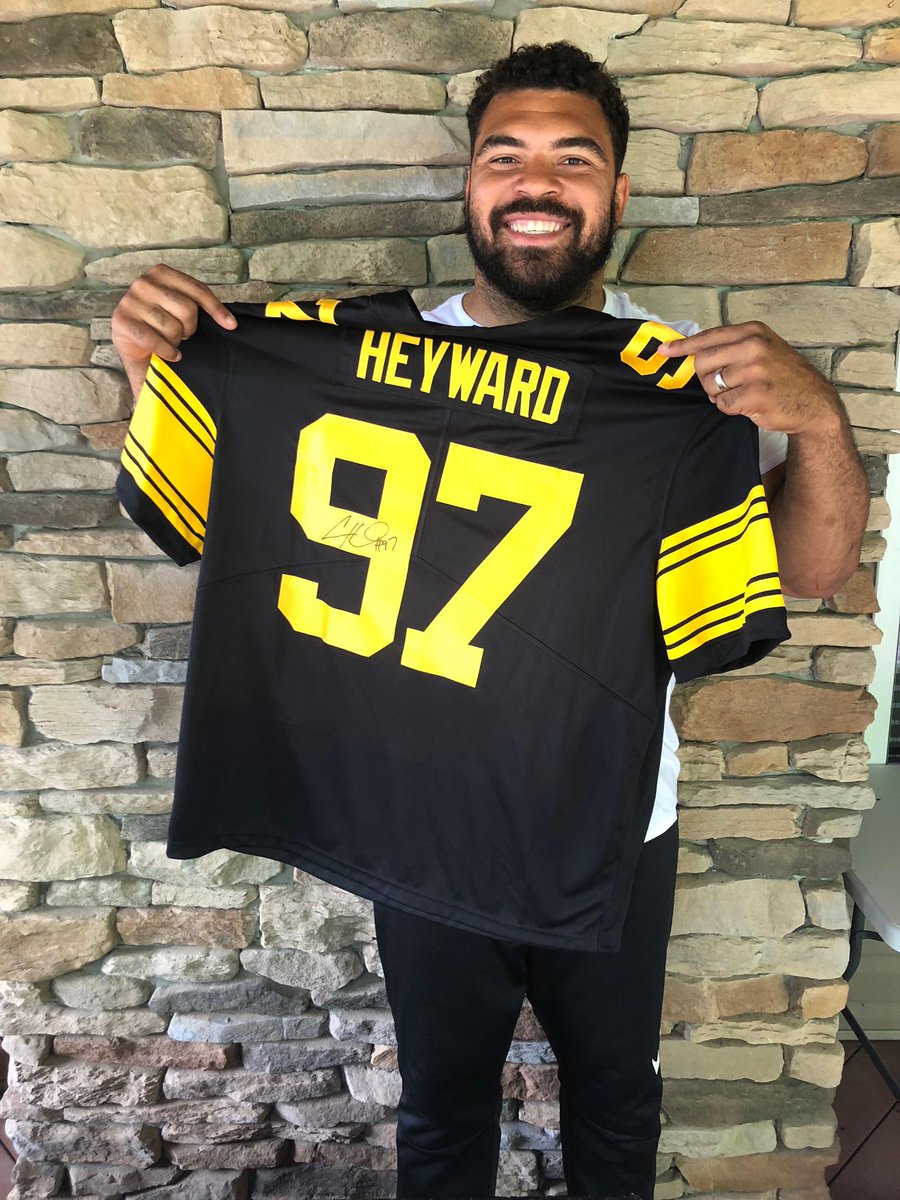 cam heyward jersey