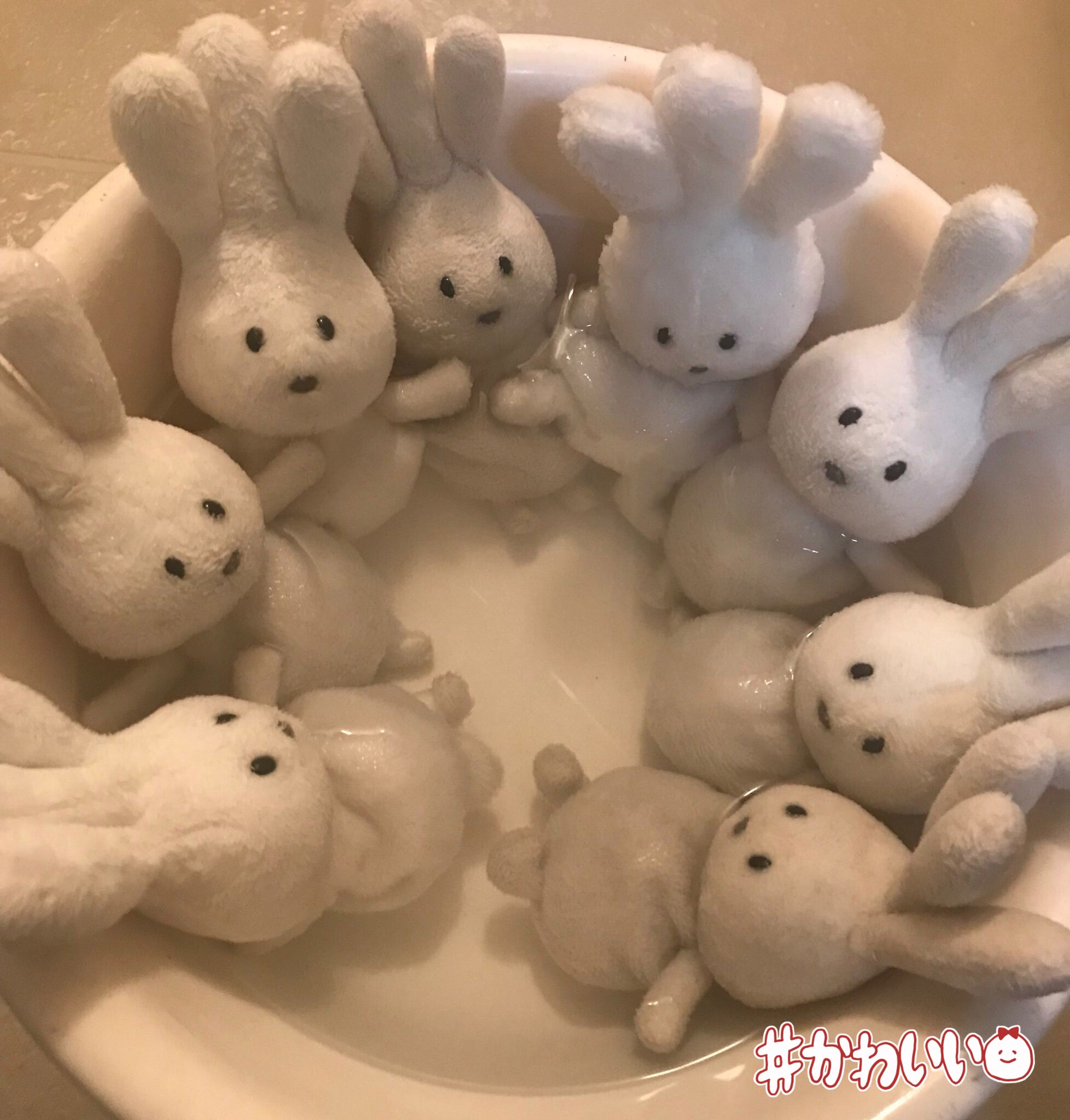 バムとケロ ぬいぐるみ かいちゃん いまちゃん おじぎちゃん しましま バムとケロ ぬいぐるみ かいちゃん いまちゃん おじぎちゃん しましま