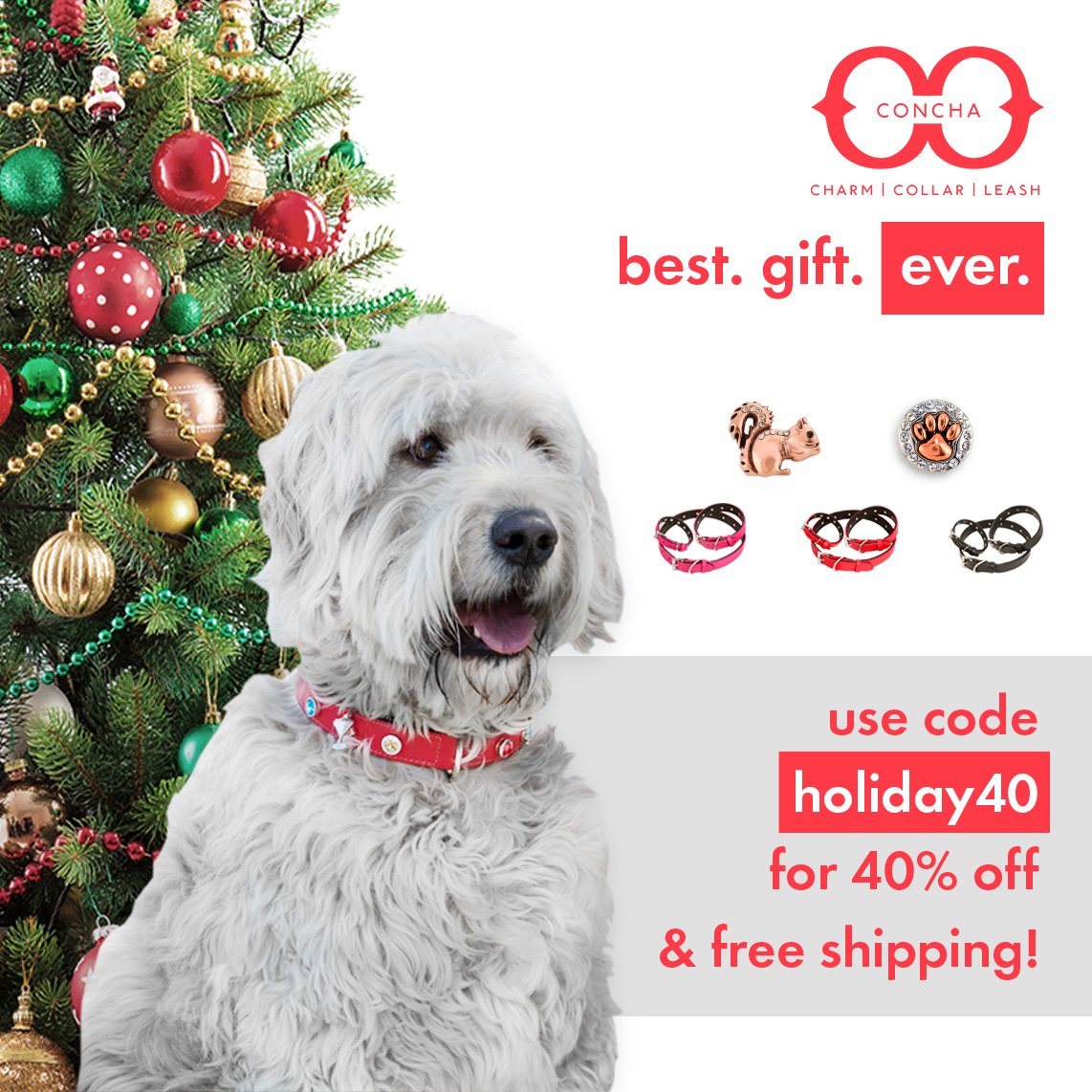 ConchaCollar's tweet photo. Looking for a stocking stuffer that will make memories for years to come? Look no further! With code holiday40 you'll receive 40% off PLUS free shipping!
.
.
#whatsonyourcollar #dogs #conchacollar #collar #dogcollar #petcollar #customcollars #customcollar #giftsfordogs #catcollar https://t.co/OD22nCkoTy
