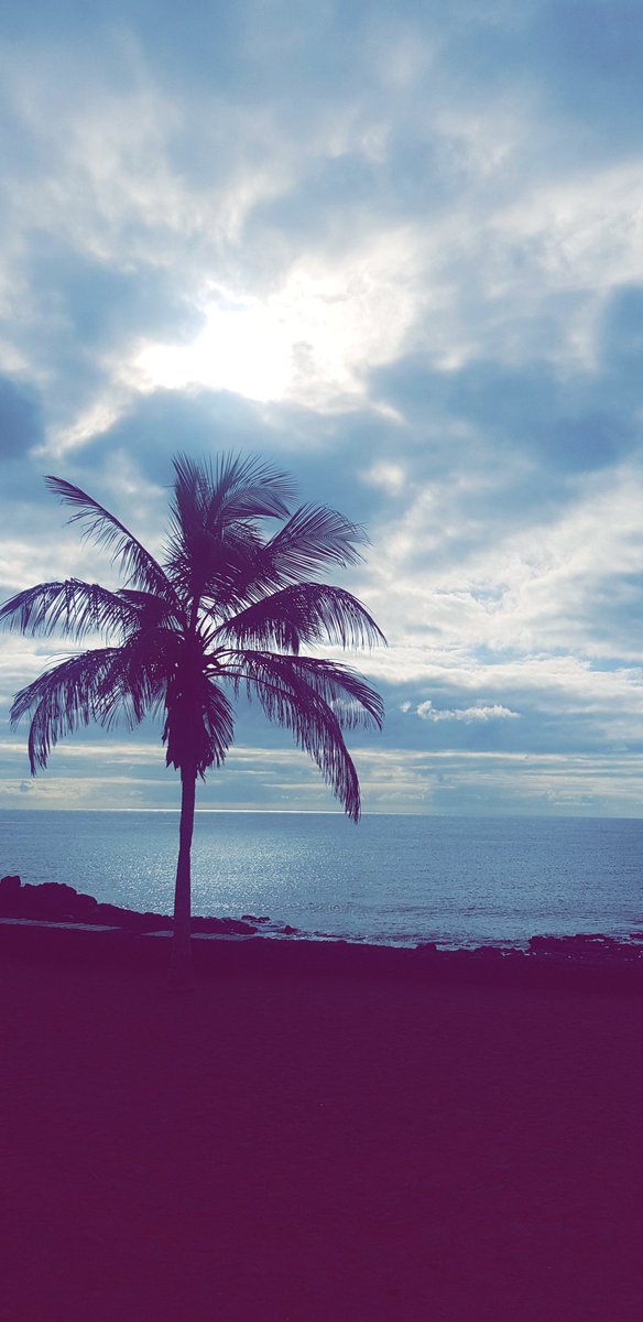nicolabarwick35's tweet photo. Our Thursday morning view... I could think of worse views to have! #honeymoon #seaview #DoesItHaveToEnd? https://t.co/crpDuAR4NS
