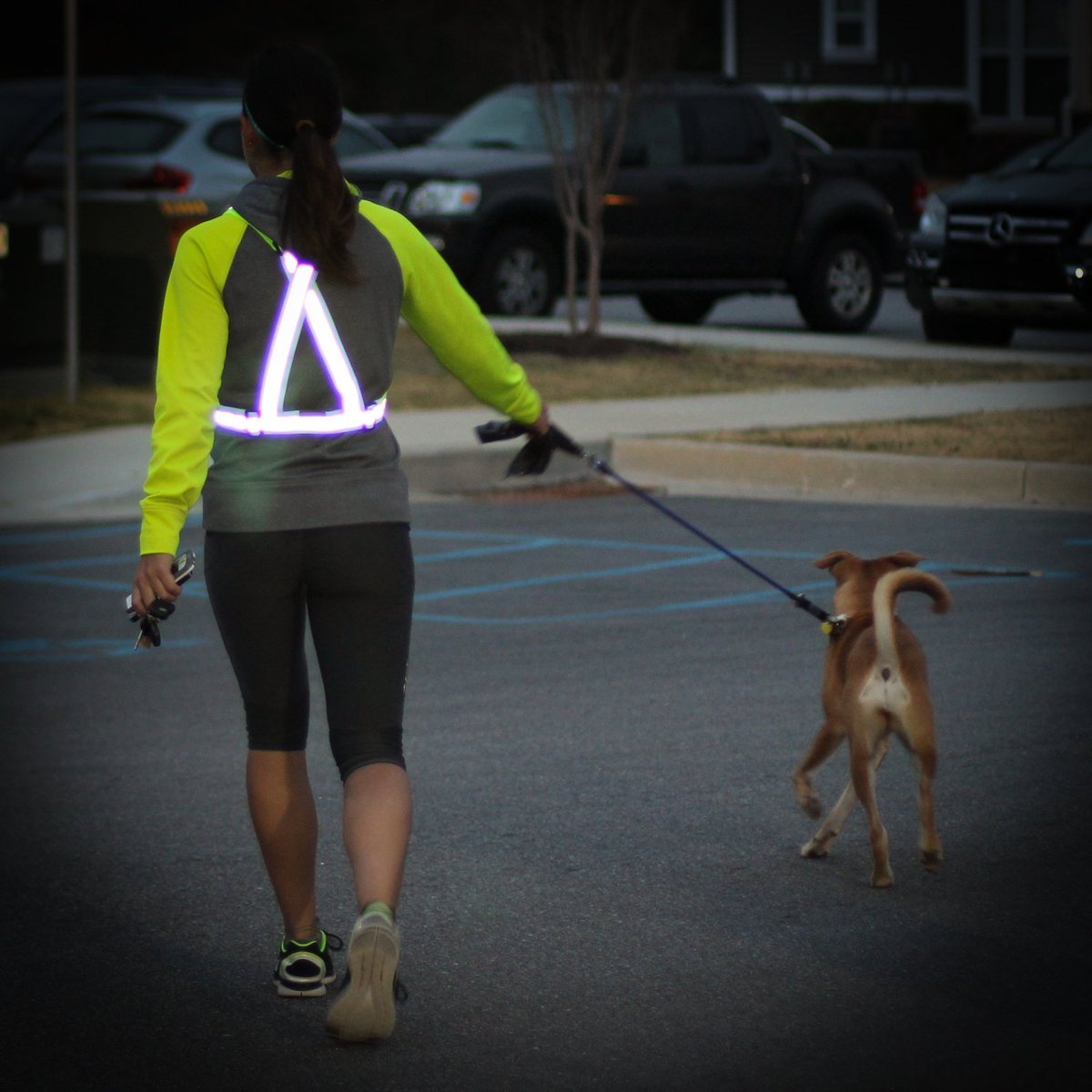 reflective gear for dog walking