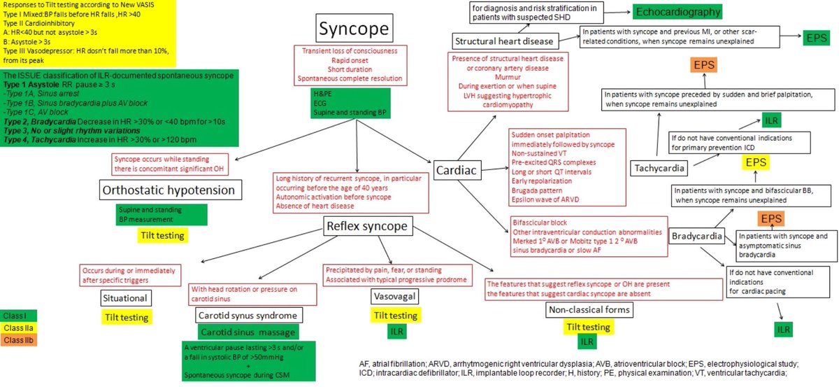 Heart Block Flow Chart