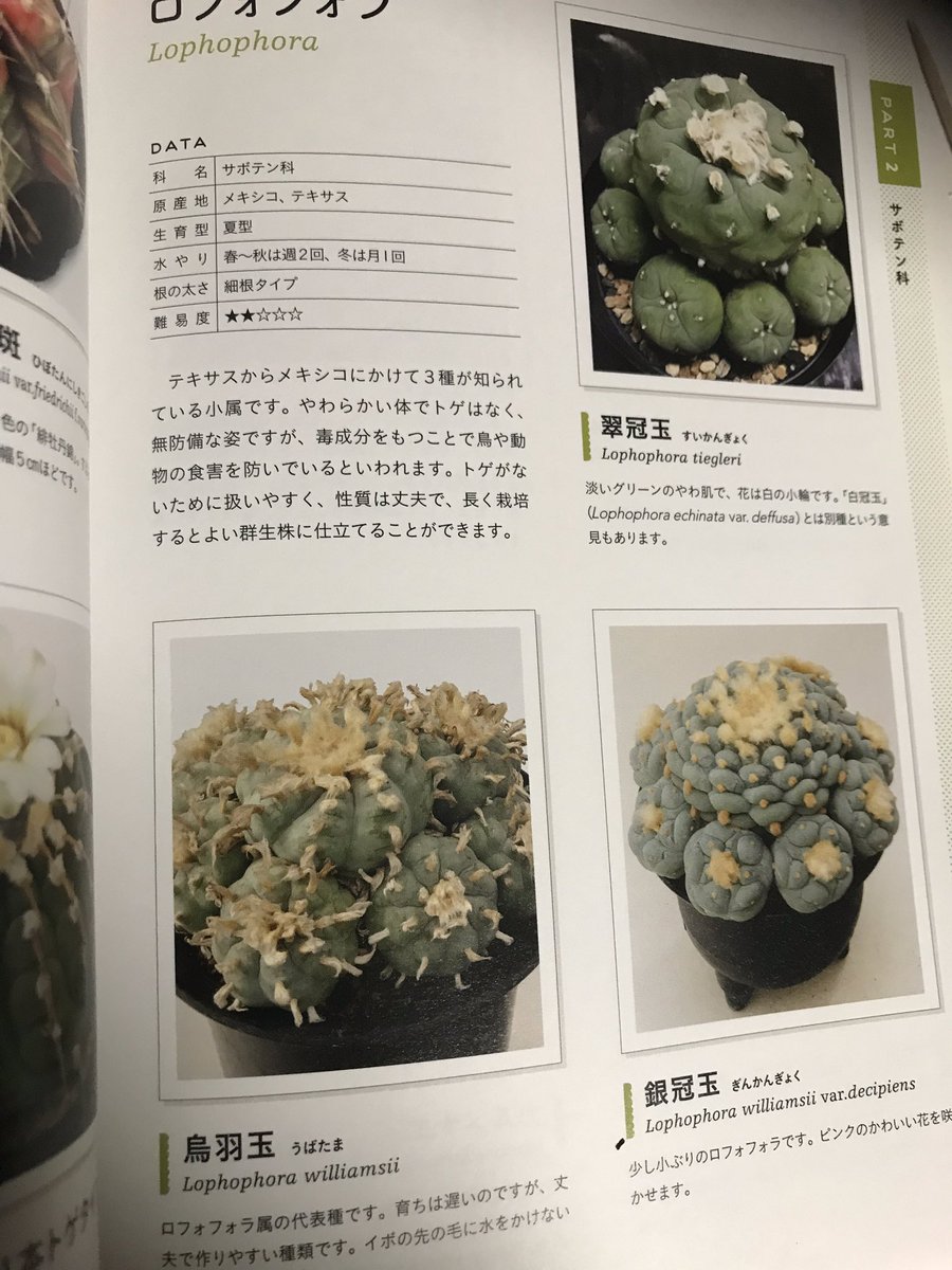 鳥羽玉 鳥羽玉