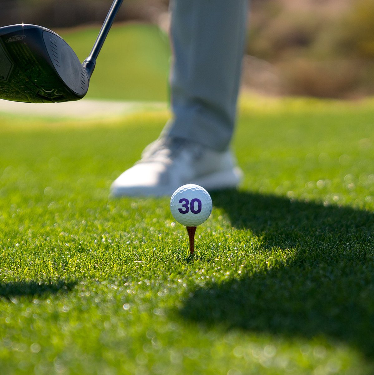 GrantThorntonUS's tweet image. Here’s to pushing new limits in a brand new decade: HAPPY BIG 3-0 @RickieFowler! 🎉⛳️#StatusGo