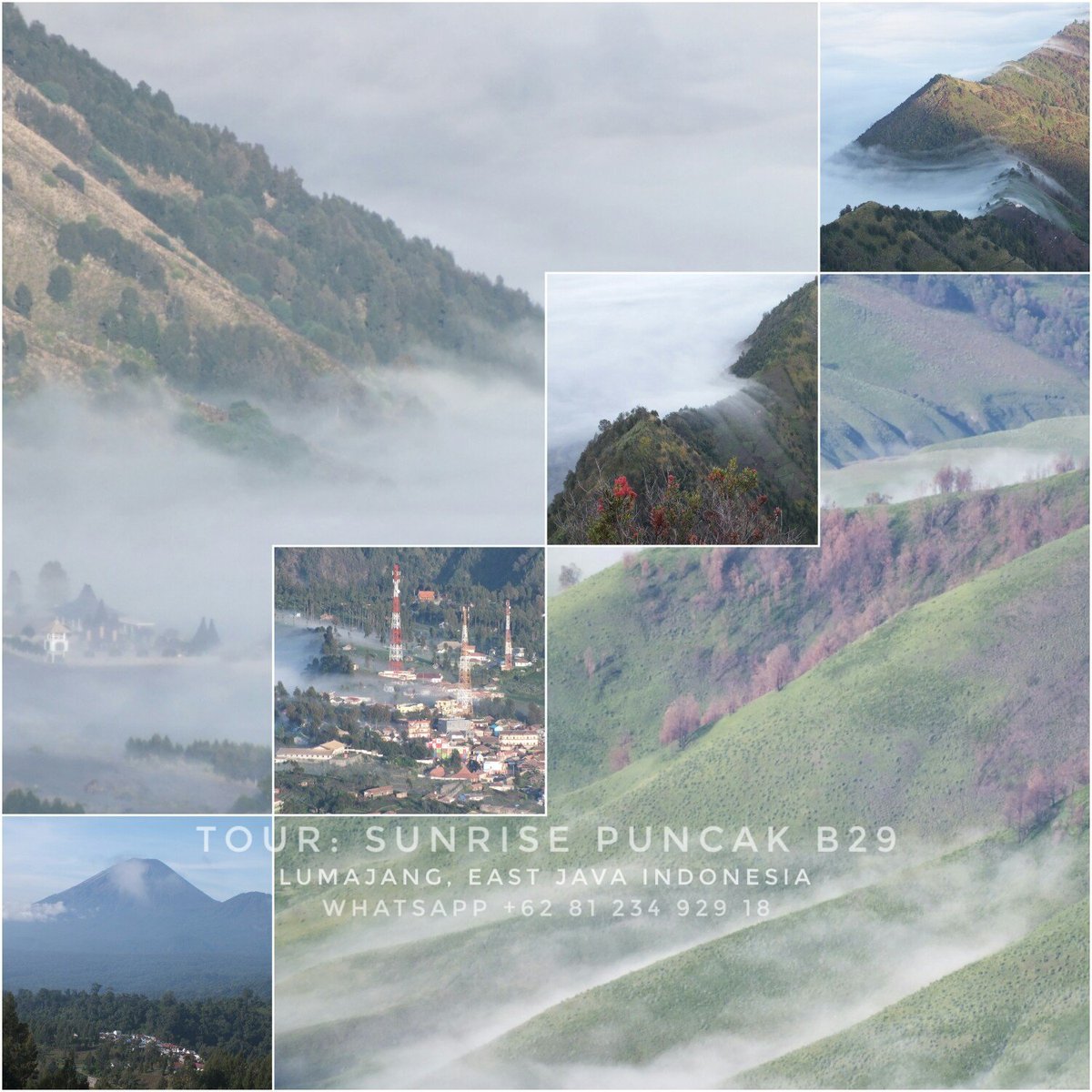 Bromo_B29's tweet photo. Private/ Open Trip: 
➡ Bromo Midnight (Pk.23.00 - 12.00) 
➡ Bromo - B29 - Tumpak Sewu - Ijen (1D 1N/ 2D 2N/ 3D 3N)

Tripadvisor
#Bromo #B29 #TumpakSewu #IjenCrater #Starbucks

~ Bromo Sisi Yang Lain ~ 
📲 +62 81 234 929 18 

https://t.co/iARBNdR0BE

#AquamanSpecialScreening https://t.co/jfTJjEYghS
