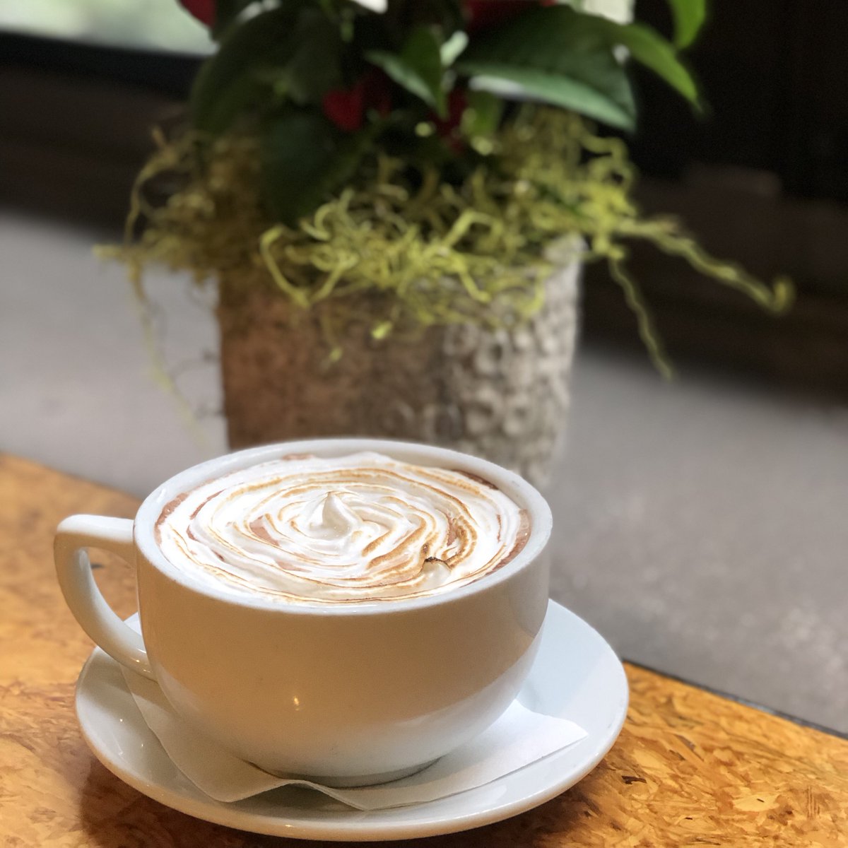 Start your day off with a cup of our house made hot chocolate topped with toasted marshmallow fluff (also house made!)

#cafelift #hotchocolate #eaterphilly