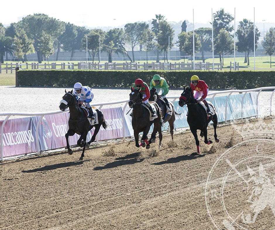 rclubpineda's tweet photo. 📷 Os dejamos imágenes de la magnífica jornada de carreras que vivimos la pasada semana en el Club y recordar que el 28 DE FEBRERO nuestro hipódromo vuelve a celebrar las Carreras 2019 ‼️
#RCPineda #ElTurf https://t.co/BhKv62j4gi