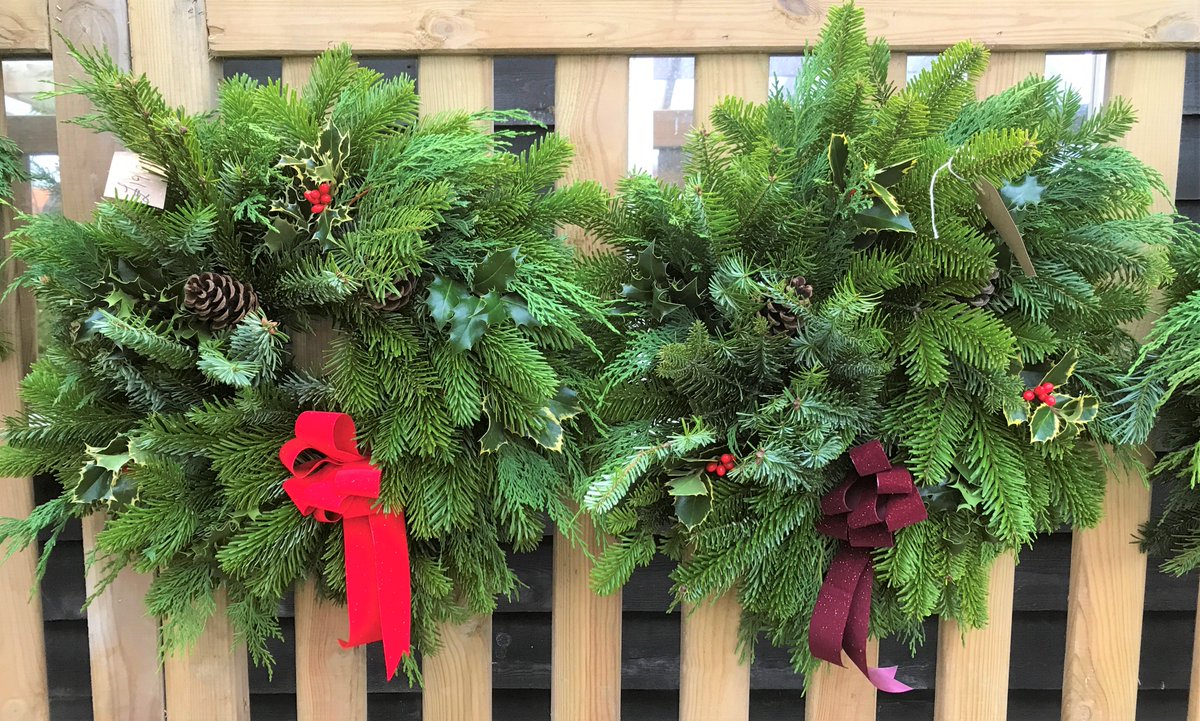 Merriments Gardens tweet media