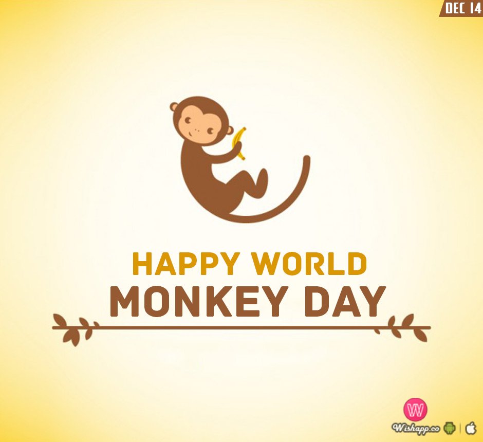 Monkey Day (December 14th)