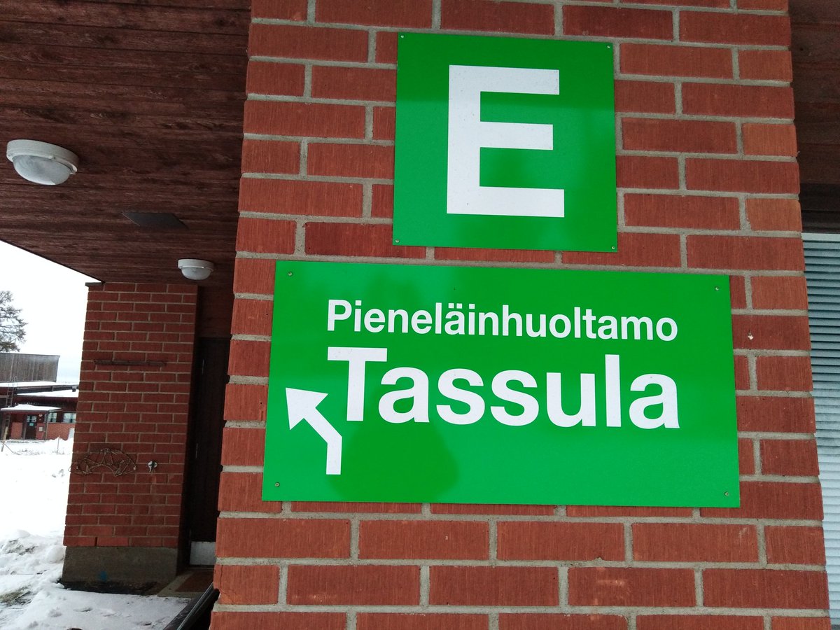 Sarimaarith's tweet image. Koiran kynnen  leikkuulla.
#tassutupa #pemo 🐾🐕