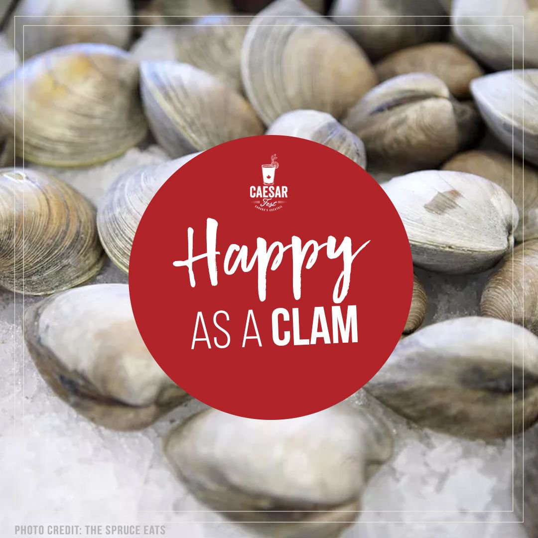 Did you know that there are over 15,000 species of #clams and over 150 of them are edible? Here are some of the different types of clams and the best way to eat them: bit.ly/2ONLwAF #happyasaclam #CAESARTHEMOMENT #caesarfest