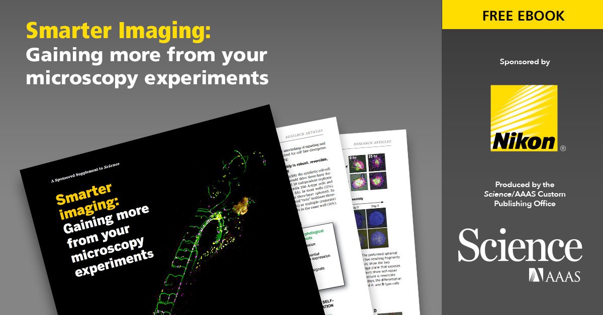 Cad Frameworks: Principles