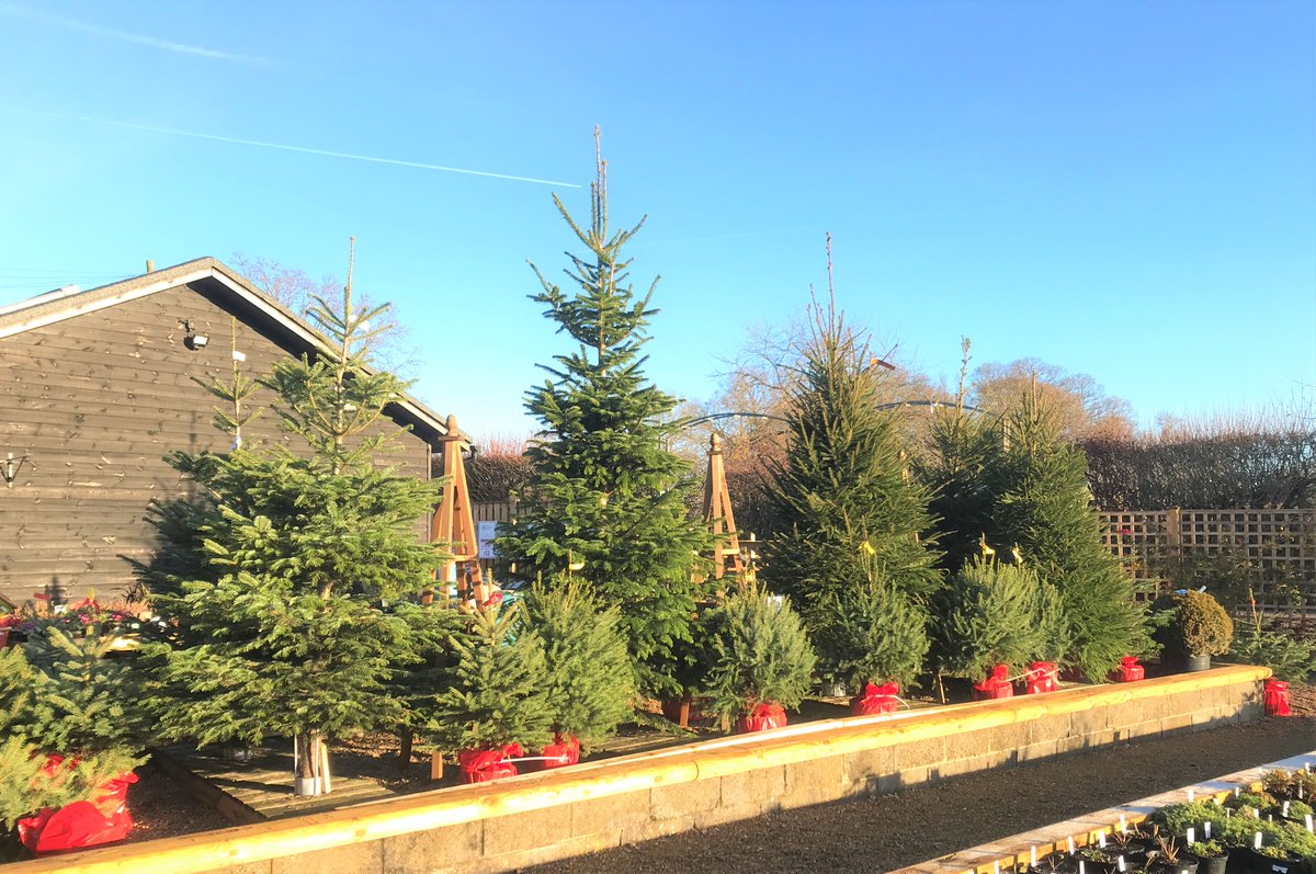 Merriments Gardens tweet media