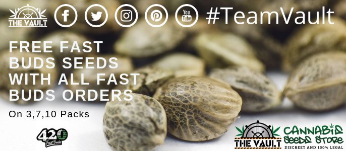 The_Vault_Seeds's tweet photo. Seed Lovers - Check this and check it FAST! @Fast_Buds have a super promo running with the Vault. Get yours hands on merch &amp; freebies and jump into a competition too. All info is here on this blog post > https://t.co/GWF2KEQqPy #cannabisseeds #seedbank https://t.co/2MJEwxjkl1