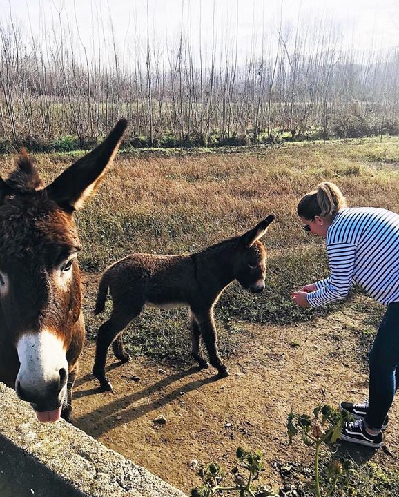 : Villadepalos
.
Seguimos descubriendo imágenes hermosas de nuestra comarca gracias a tod@s vosotr@s.
_ _ _ _ _ _ _ _ _ _ _ _ _ _ _
⊕ 👤 Autor: @melinaclp 
Os invitamos a visitar su galería
_ _ _ _ _ _ _ _ _ _ _ _ _ _ _
⊕ Etiqueta tus fotos con
⊙ #Bie… ift.tt/2qTZ5GK