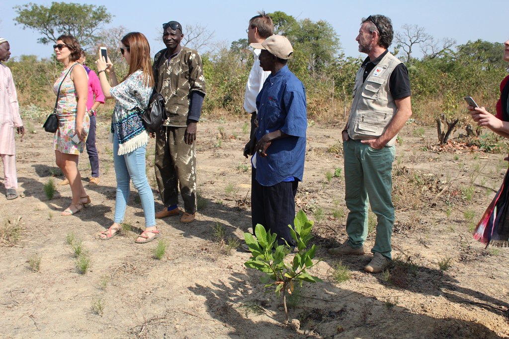 PAFAM3's tweet photo. La Délégation de l'Union européenne #UE au Mali visite le verger démonstratif de Siby réalisé par le @PAFAM3 cofinancé par l'@AECID_es et l'Union européenne dans le cadre du Fonds d'Urgence de l'Union européenne pour l'#Afrique #AfricaTrustFund @stefanomanservi @europeaid https://t.co/76hufJ6PAM