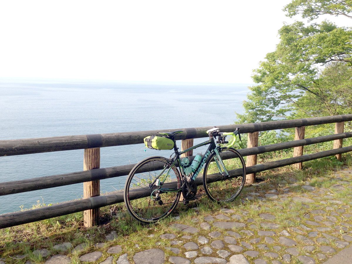 タートル川崎@一梨乃みなぎ tweet media