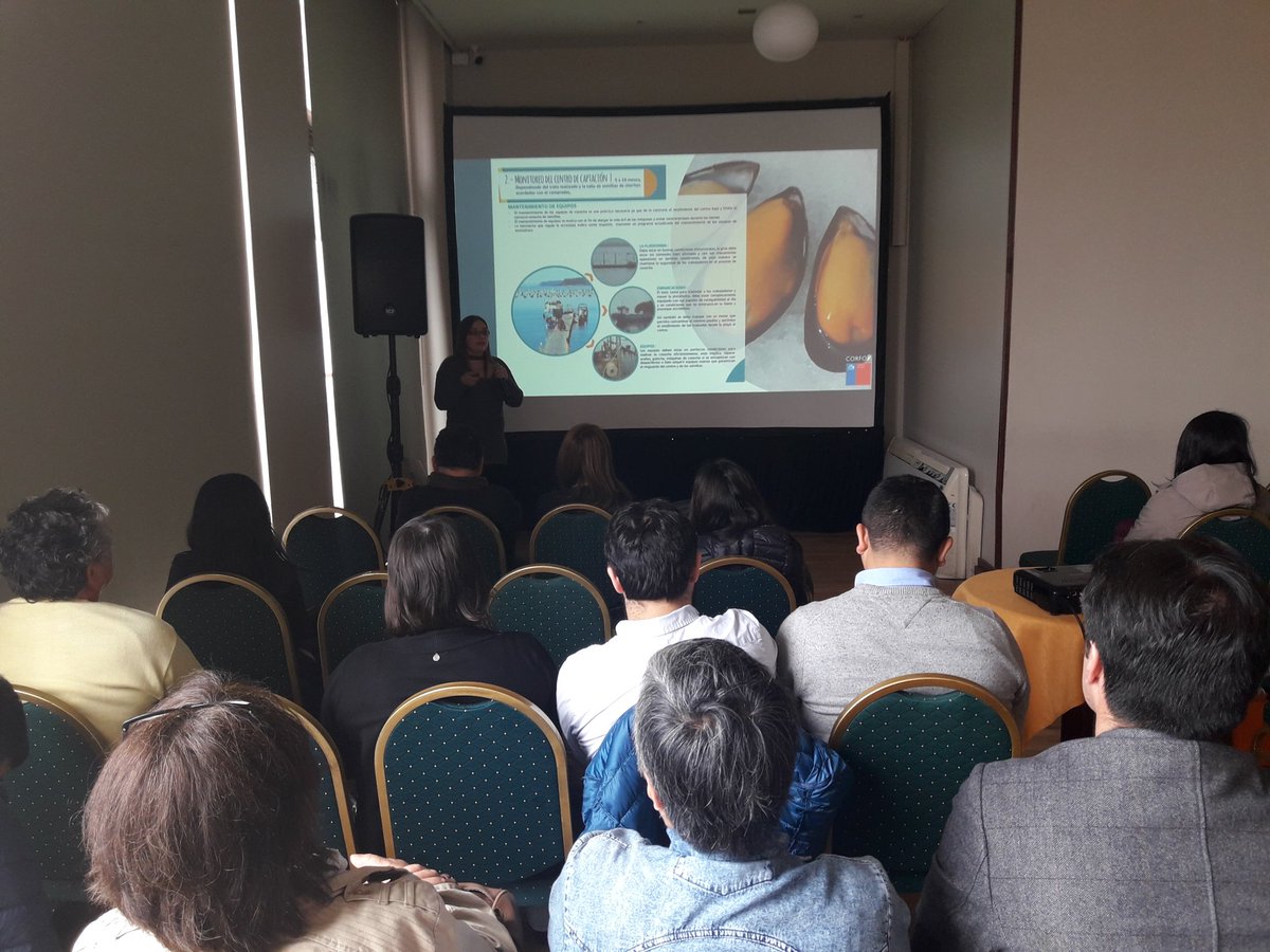 Mejillon de Chile tweet media