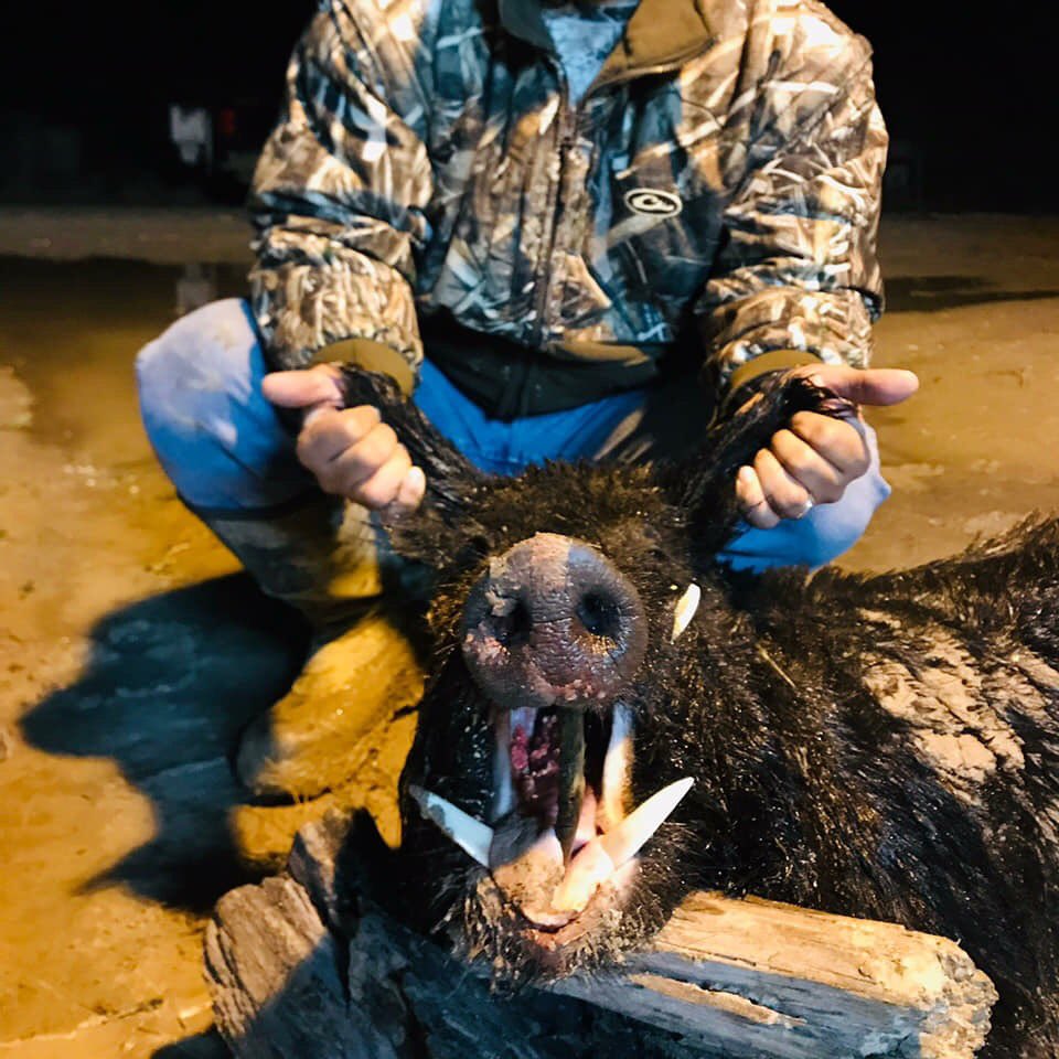 texashoghunters's tweet photo. Sam got this big nasty #trophyboar last night #thha https://t.co/SXooY5Oxuq