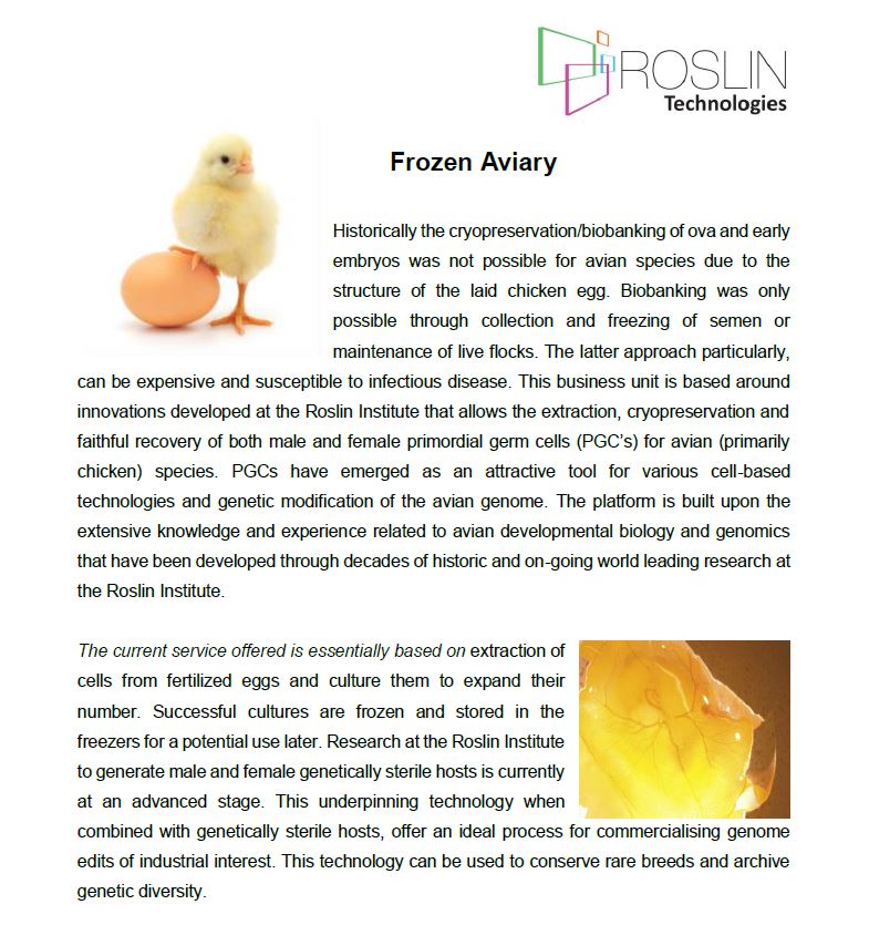RoslinTech's tweet photo. Discover our business unit Frozen Aviary – An innovation in poultry breeding industry #FrozenAviary #businessUnit #Poultry #breed #RoslinTech https://t.co/fgyoNzq2ls