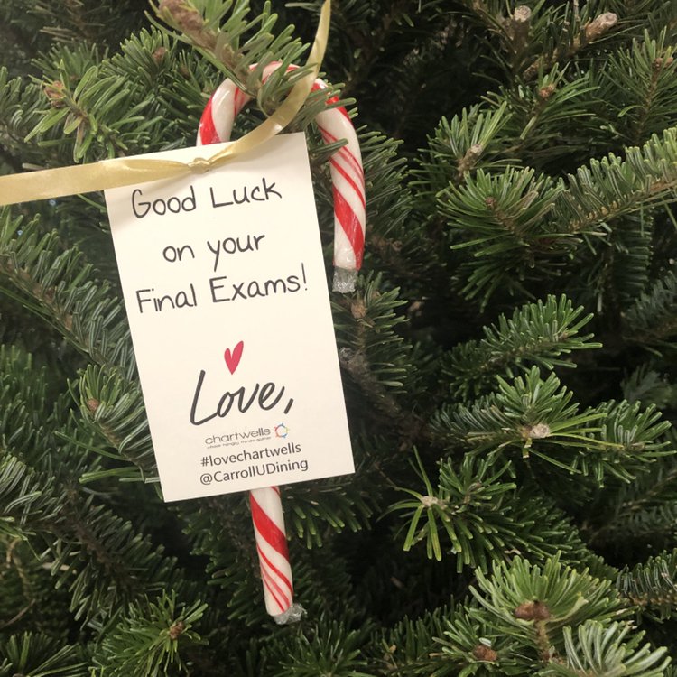 CarrollUDining's tweet image. Calm your nerves with a candy cane available on the giving trees in the Campus Center while they last. #lovechartwells #goodluckonfinals #carrollu #carrolludining