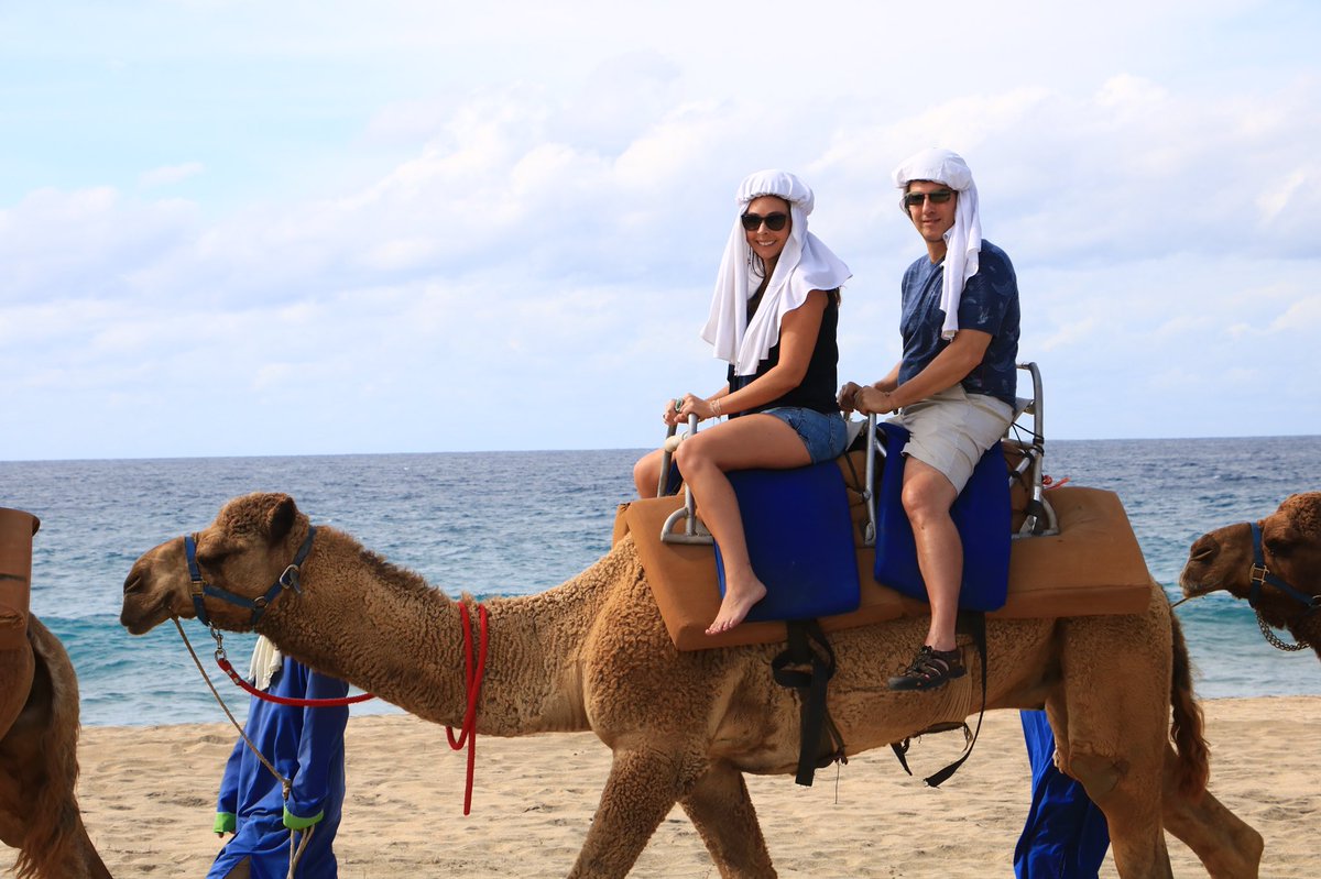 MeaganWristen's tweet image. Did you know you could ride a camel in #Cabo? #caboadventures offers lots of activities including a camel ride. #GnomadsTakeOverCabo #TravelocityPartner