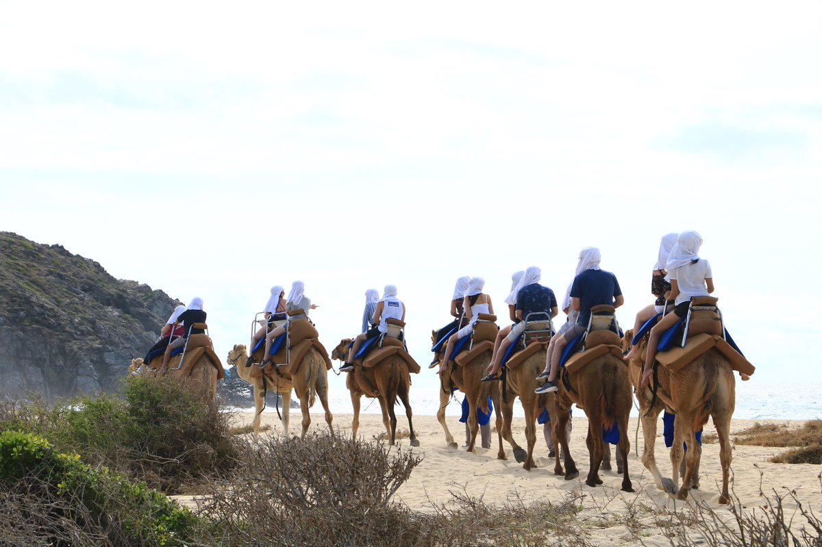 MeaganWristen's tweet image. Did you know you could ride a camel in #Cabo? #caboadventures offers lots of activities including a camel ride. #GnomadsTakeOverCabo #TravelocityPartner