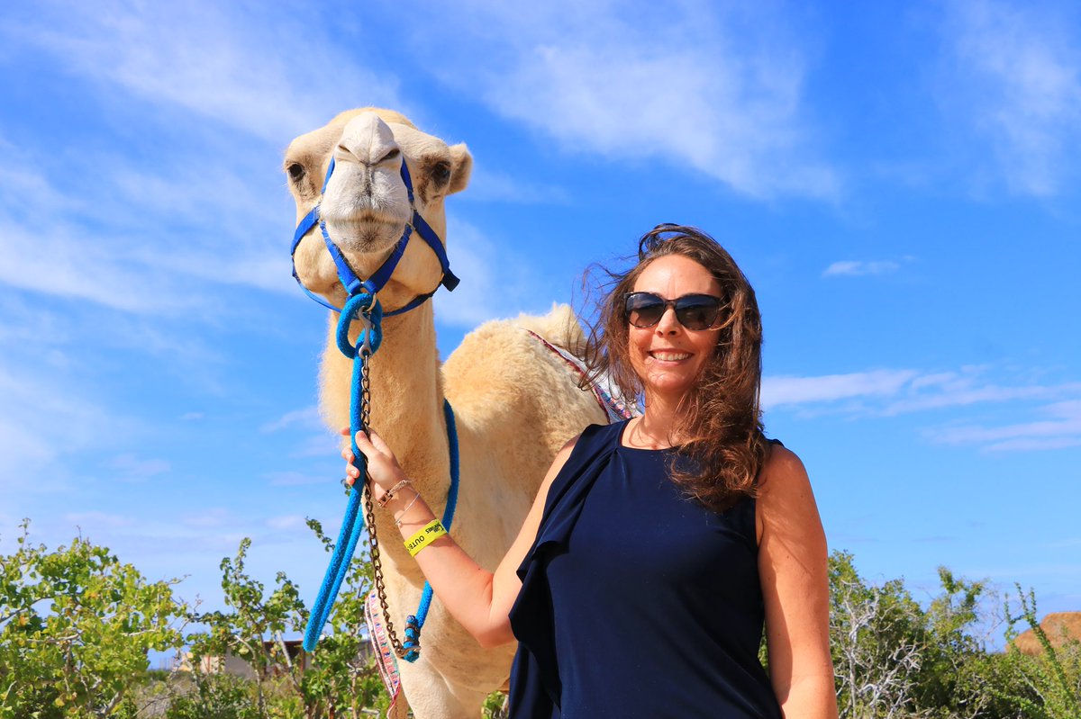 MeaganWristen's tweet image. Did you know you could ride a camel in #Cabo? #caboadventures offers lots of activities including a camel ride. #GnomadsTakeOverCabo #TravelocityPartner
