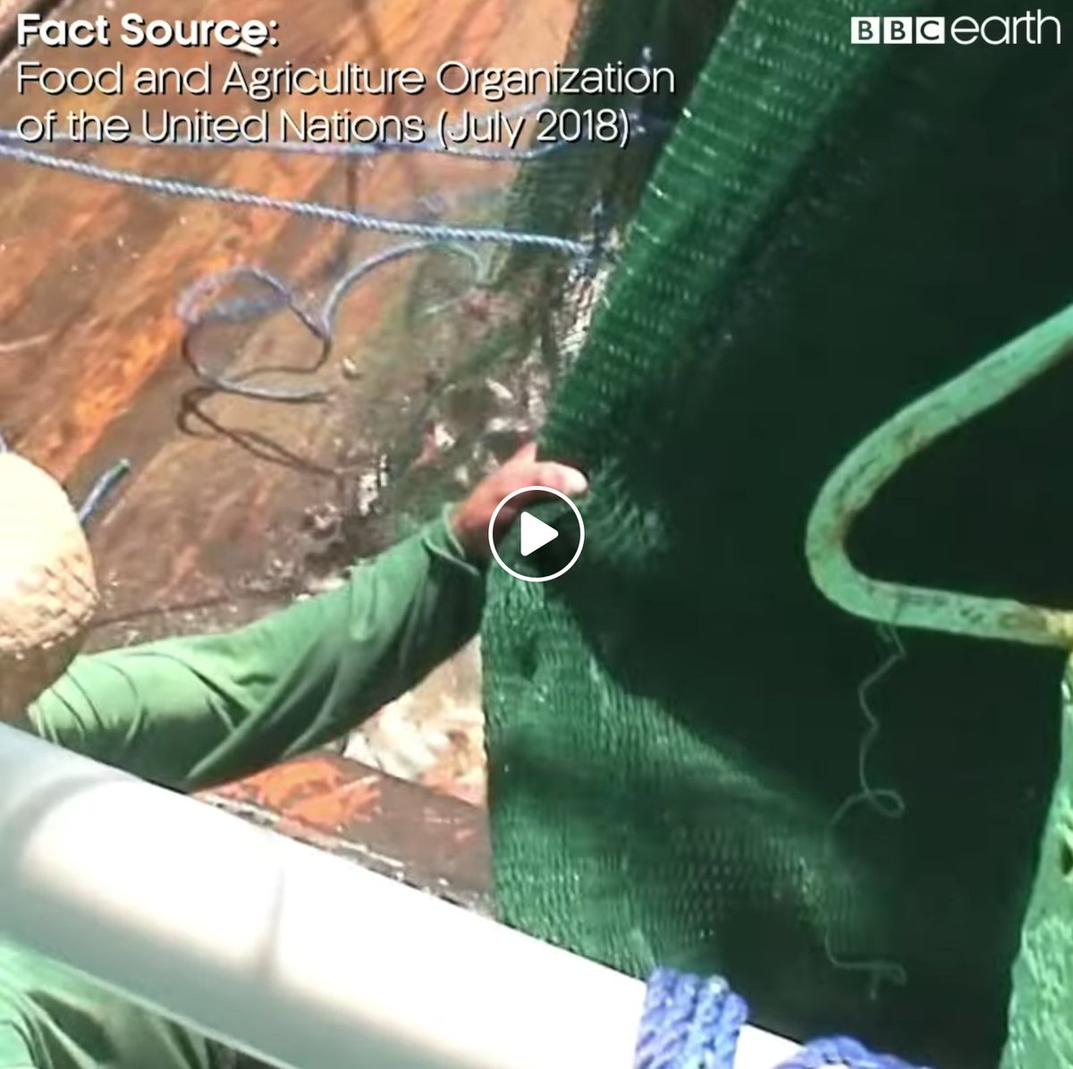 Watch <a href="/ReefScan/">ReefScan</a>’s collaborative efforts with <a href="/BBCEarth/">BBC Earth</a> <a href="/INTERPOL_EC/">ENVIRONMENTAL CRIME</a>  &amp; @Pewtrusts with <a href="/OceanMindGlobal/">OceanMind</a> countering issues of #AIS tracking
at ReefScan.org
&amp; Facebook tinyurl.com/y8ebksvb
#IUU #FishForum2018 #maritimesafety #OurBluePlanet #OurOcean  #IllegalFishing