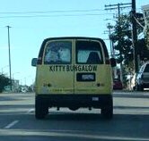 kittybungalow's tweet photo. Have you seen this school bus? As the 2018 #TrappingSeason gears down, the 2019 #TNR and #WorkingCat programs are #FullSpeedAhead! Over 1,000 #feralcats were #spayedorneutered and returned to caretakers or employed as Working Cats in 2018! #TNRsaveslives #FixCats #HumaneSolutions https://t.co/gxr4vwZ5dy